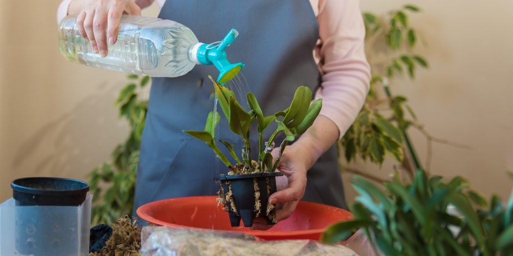 Watering to plants