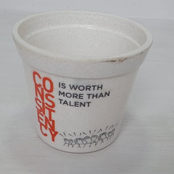 4 Inch Pot for Indoor Plants - Image 6