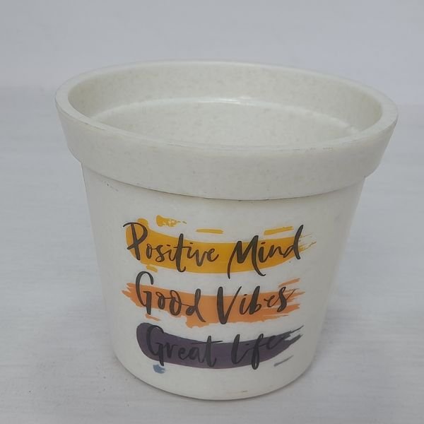4 Inch Pot for Indoor Plants - Image 5