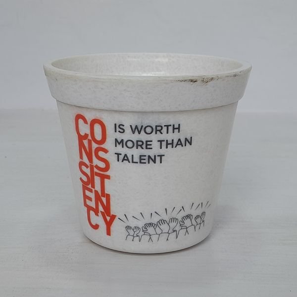 4 Inch Pot for Indoor Plants - Image 4