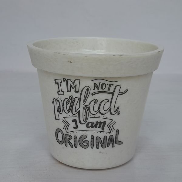 4 Inch Pot for Indoor Plants - Image 3