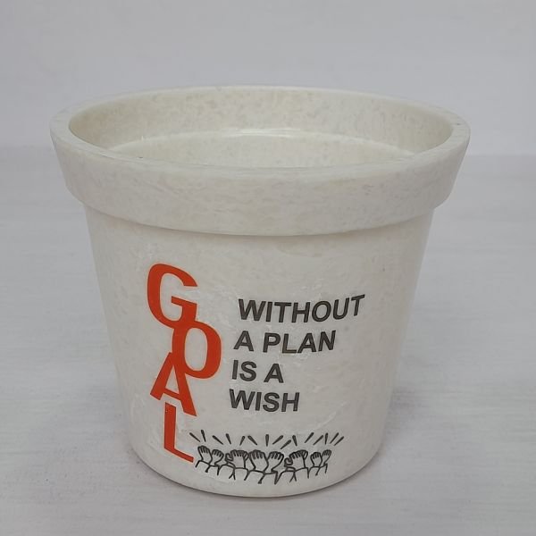 4 Inch Pot for Indoor Plants