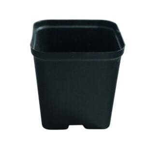 3 Inch Square Durable Nursery pot