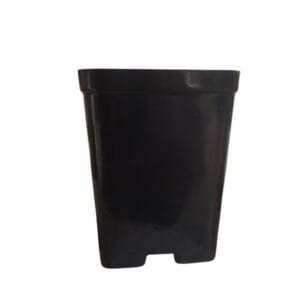 2.5 Inch Square Black Nursery pot