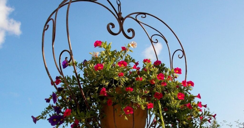 pink and violet color petunia flowers in heart-shaped hanging plant holder
