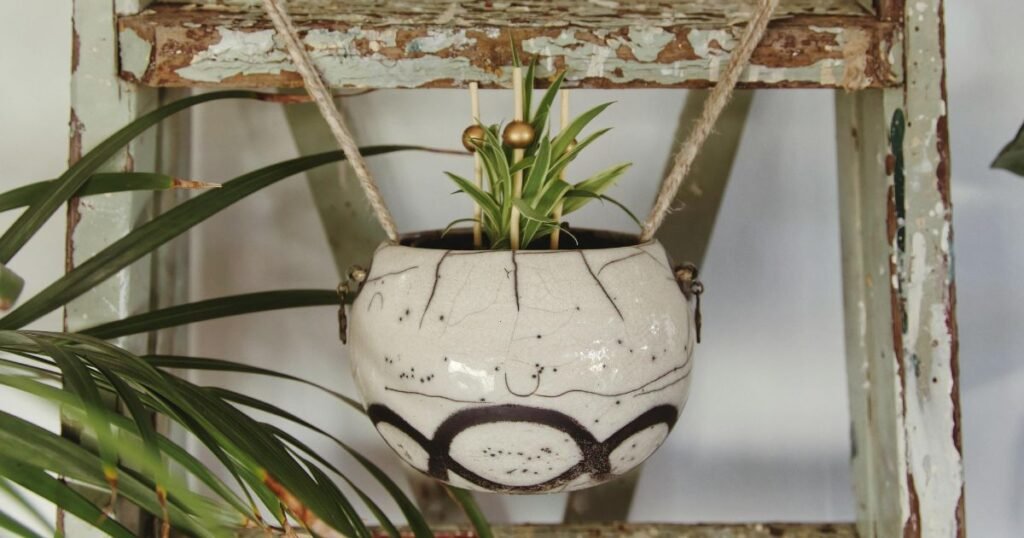 hanging spider plant in a beige ceramic pot