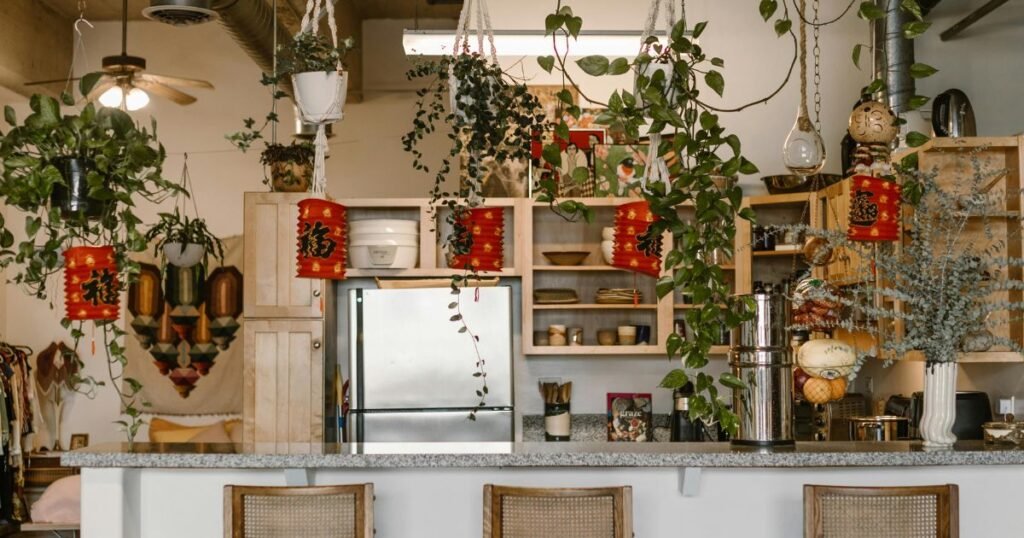 hanging plants indoors