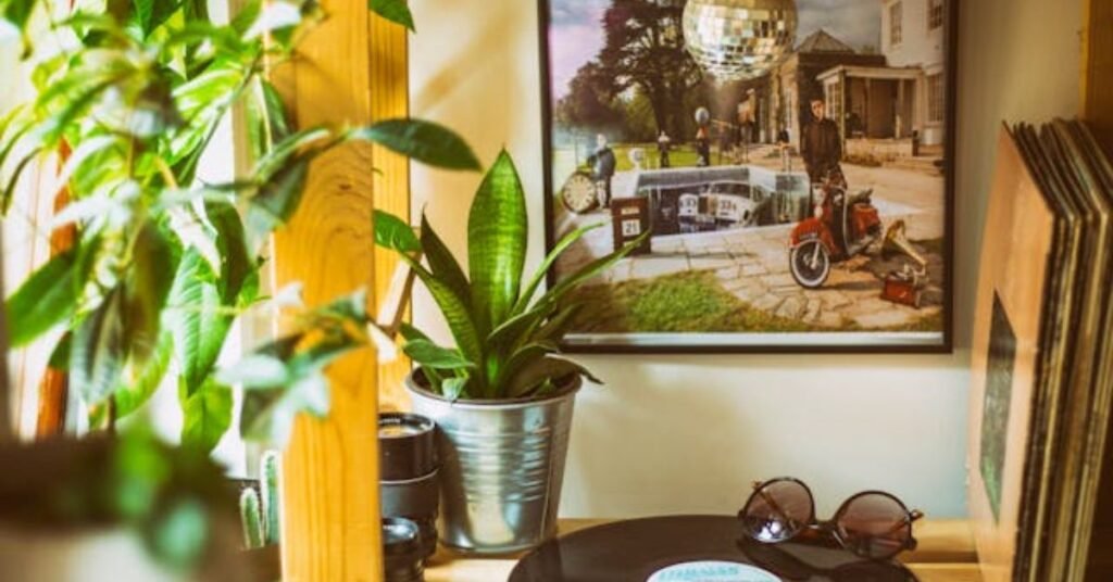 plants indoor
