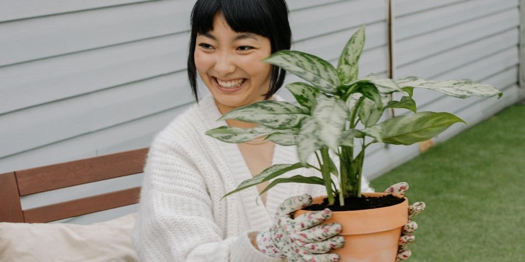 Girl holding Aglaonema plant in earthen pot