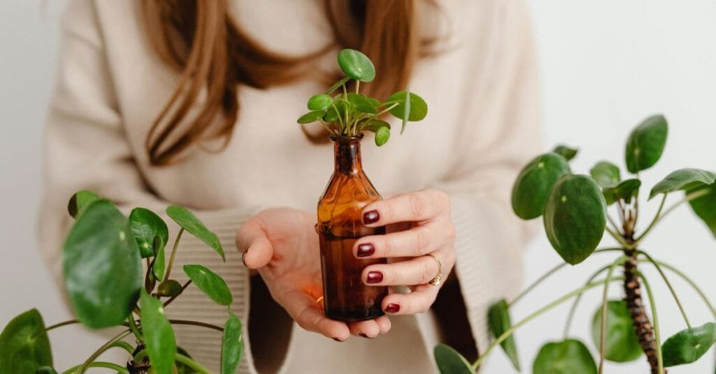 Girl With Peperomia Plants