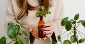 Girl With Peperomia Plants