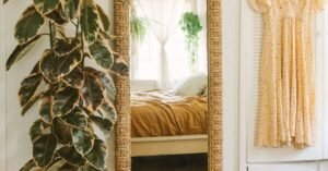 Rubber Plant in bedroom