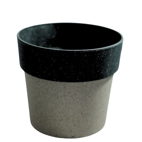 Eco Bloom Multicolour 4 Inch Pot Combo (4 | 10) - Image 2