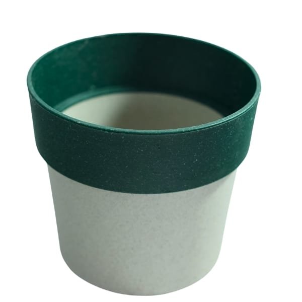 Eco Bloom Multicolour 4 Inch Pot Combo (4 | 10) - Image 3