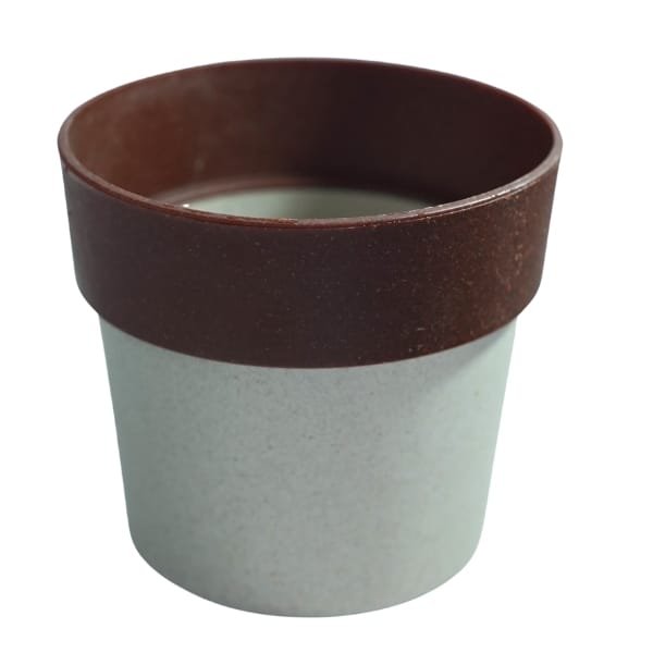 Eco Bloom Multicolour 4 Inch Pot Combo (4 | 10) - Image 4
