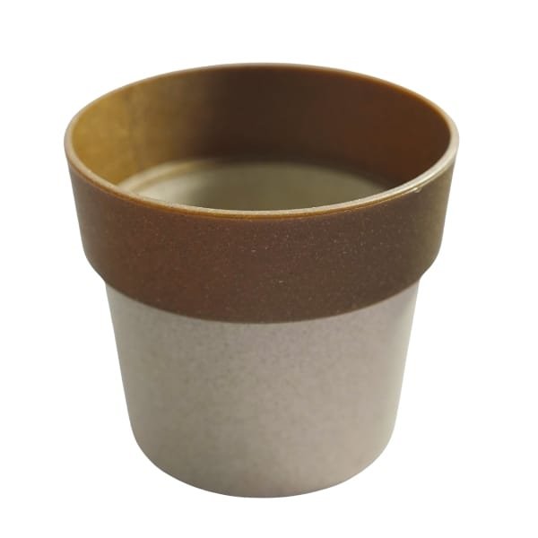 Eco Bloom Multicolour 4 Inch Pot Combo (4 | 10) - Image 5