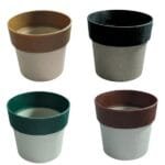 Eco Bloom Multicolour 4 Inch Pot Combo (4 | 10)